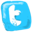 twitter icon